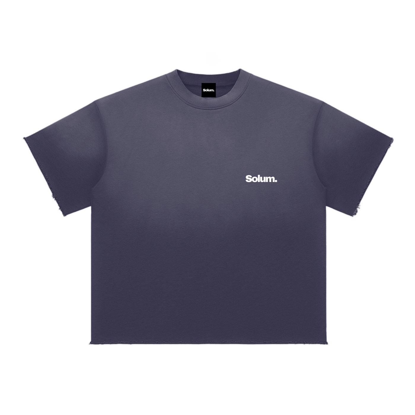 Sun Fade Raw Edge T-Shirt