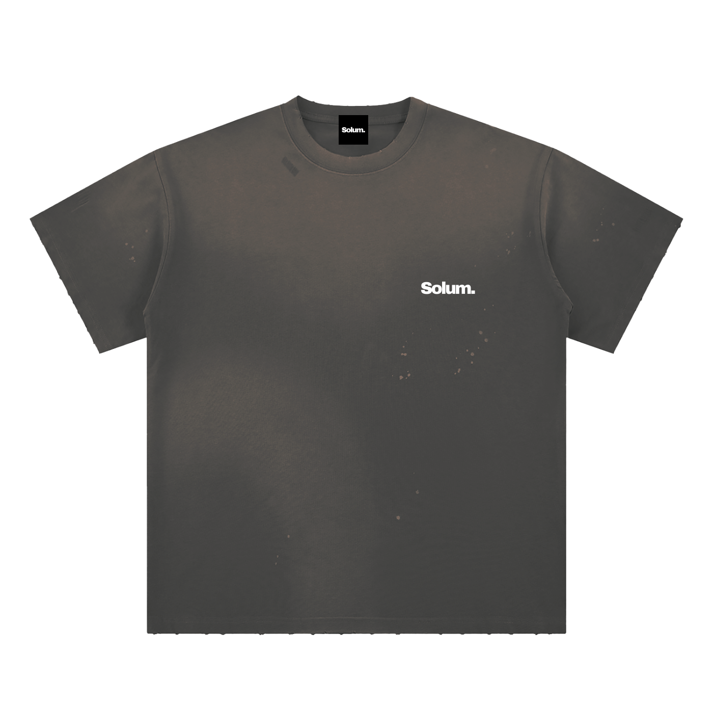 Hand-Frayed Sunfade Paint Splatter T-Shirt