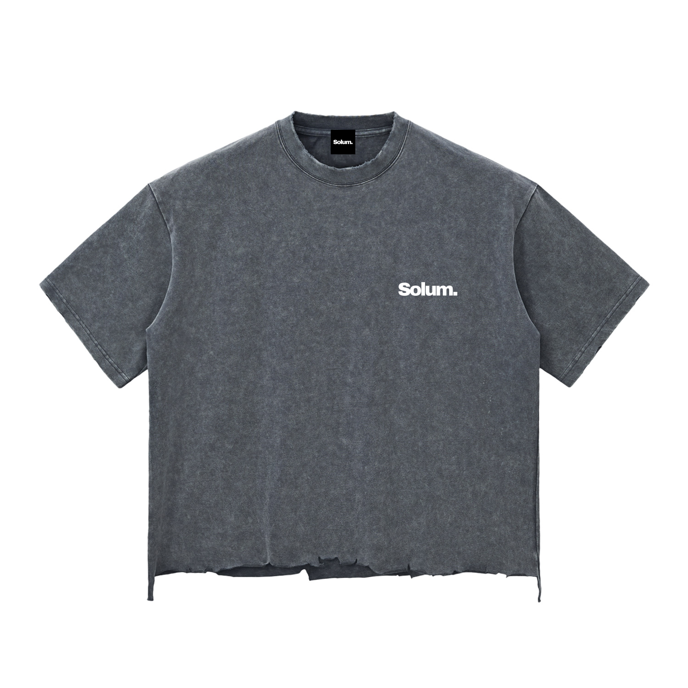 Snow Wash Raw-Hem Boxy T-shirt