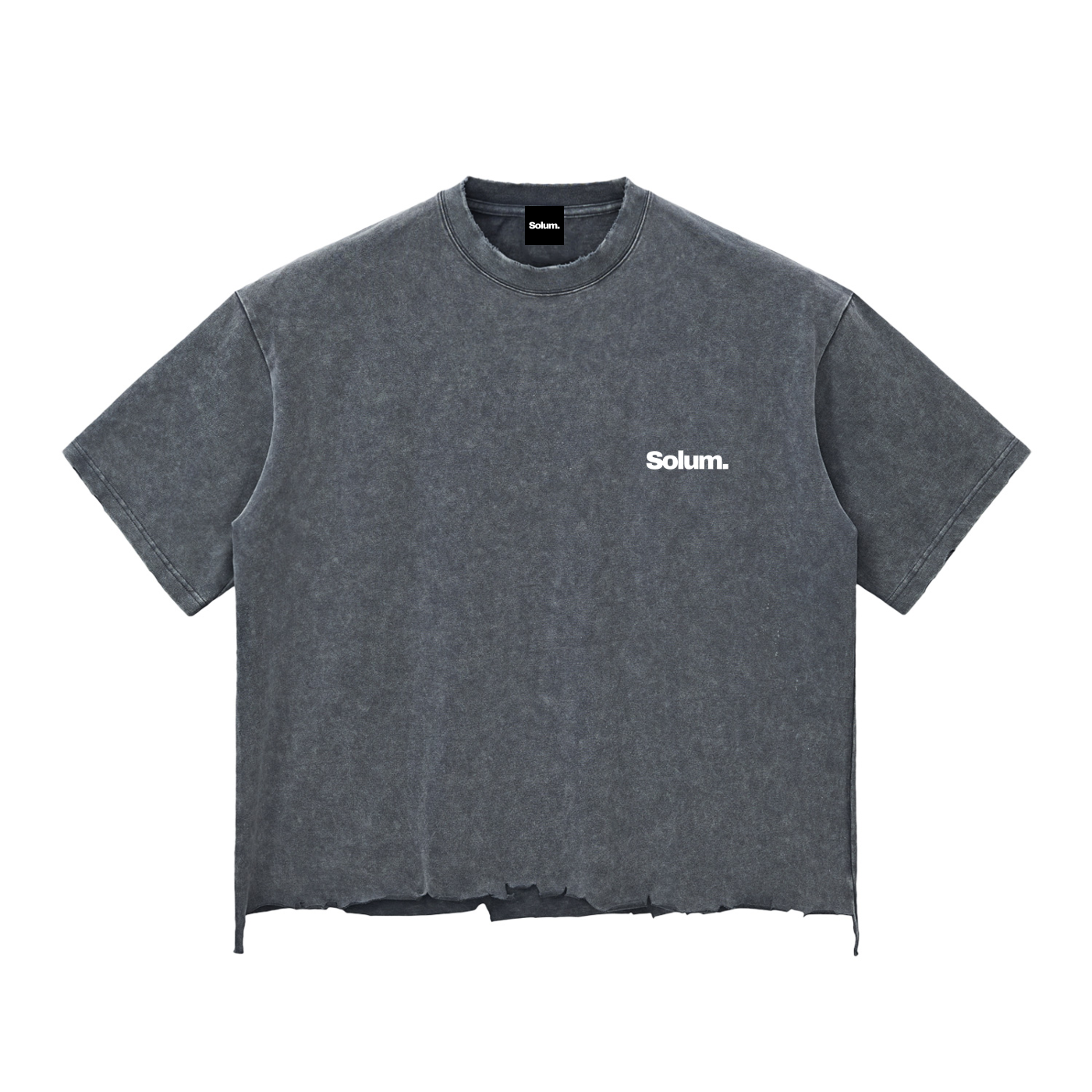 Snow Wash Raw-Hem Boxy T-shirt