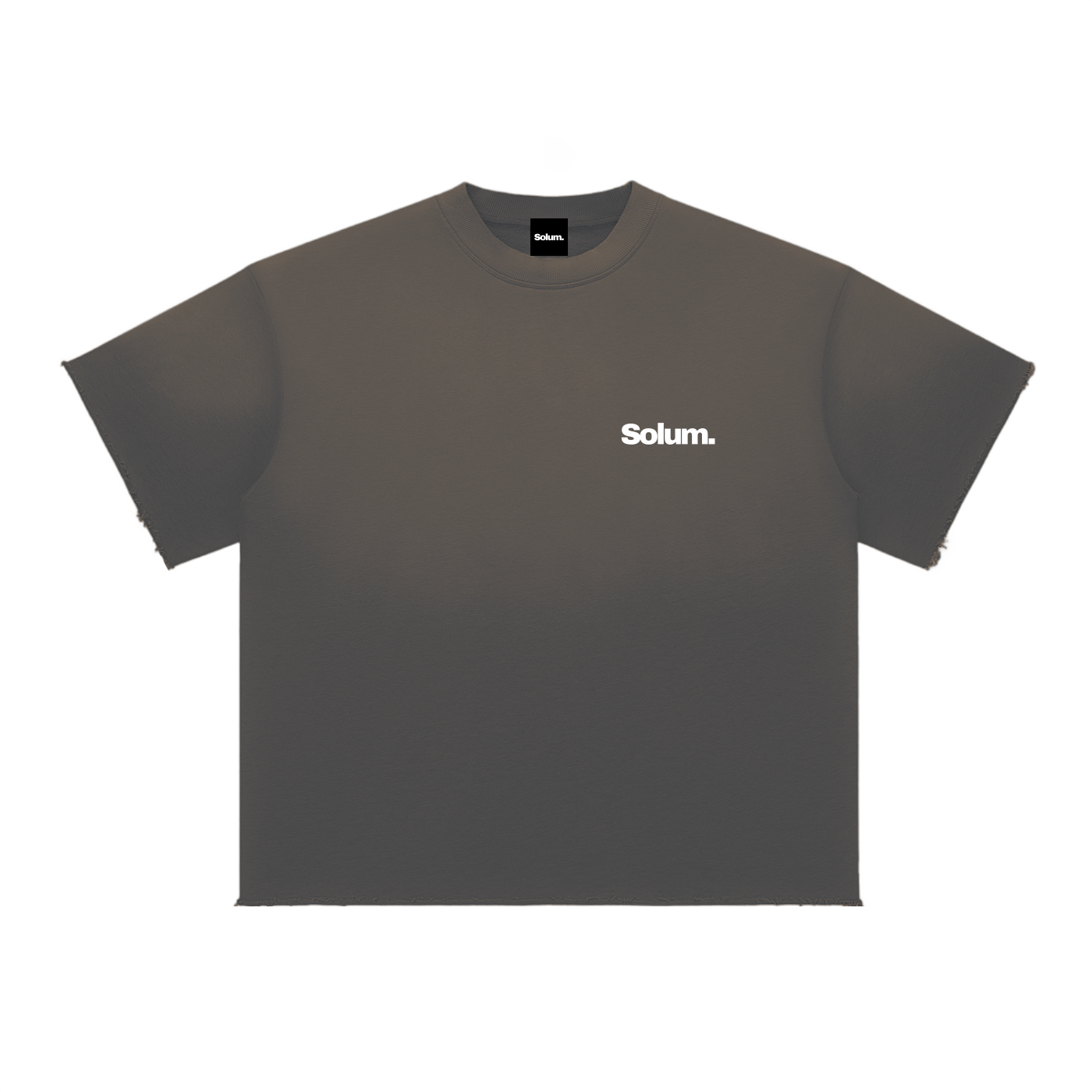 Sun Fade Raw Edge T-Shirt