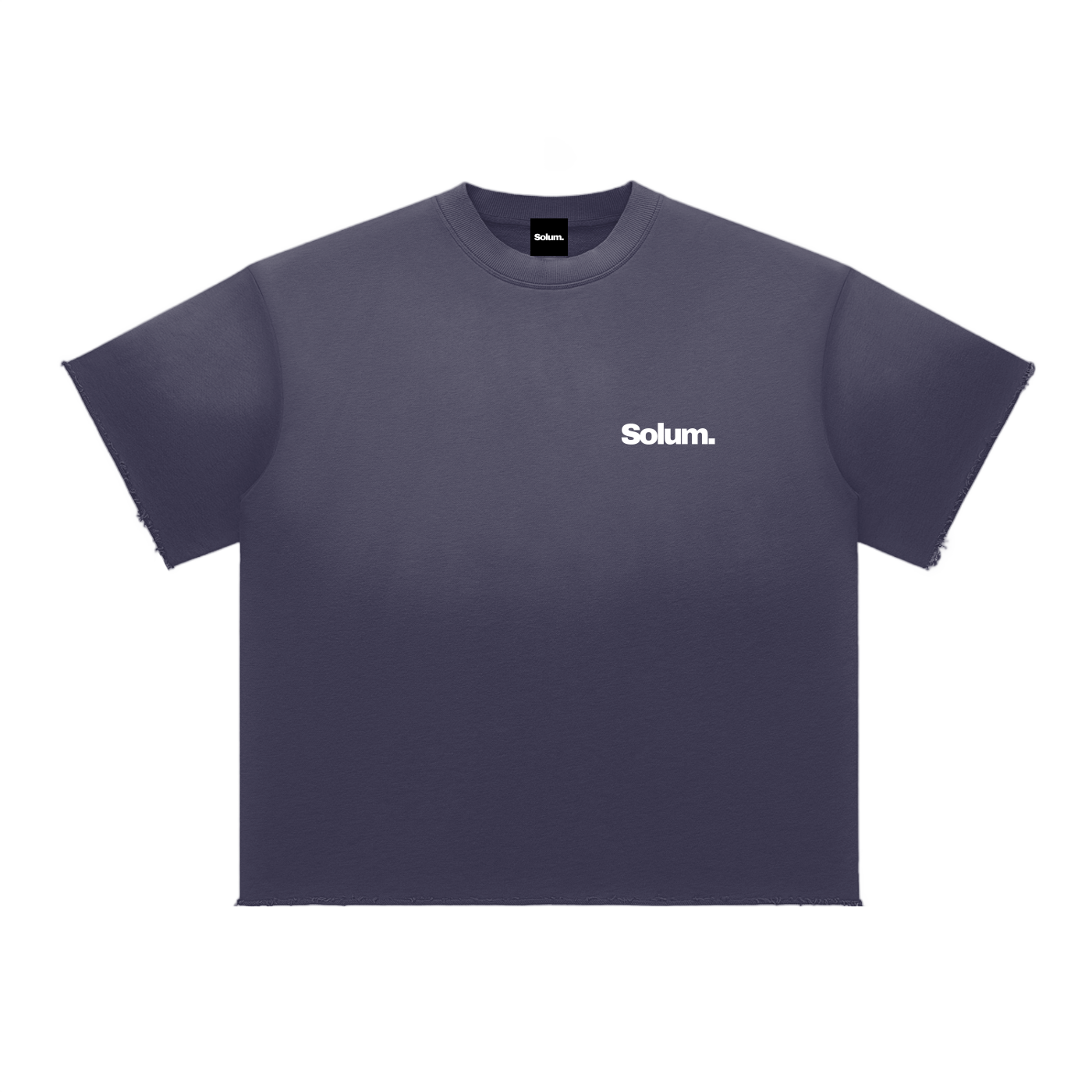 Sun Fade Raw Edge T-Shirt