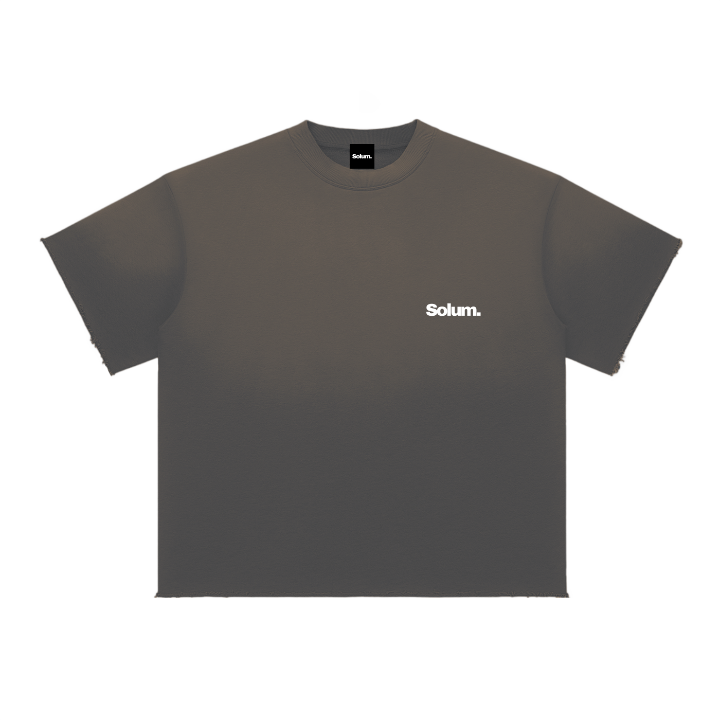 Sun Fade Raw Edge T-Shirt