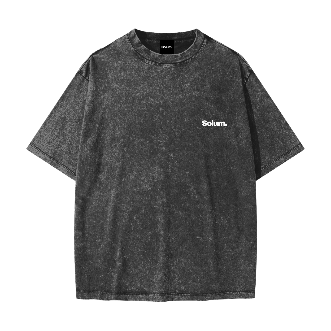 Heavyweight Snow Washed T-Shirt
