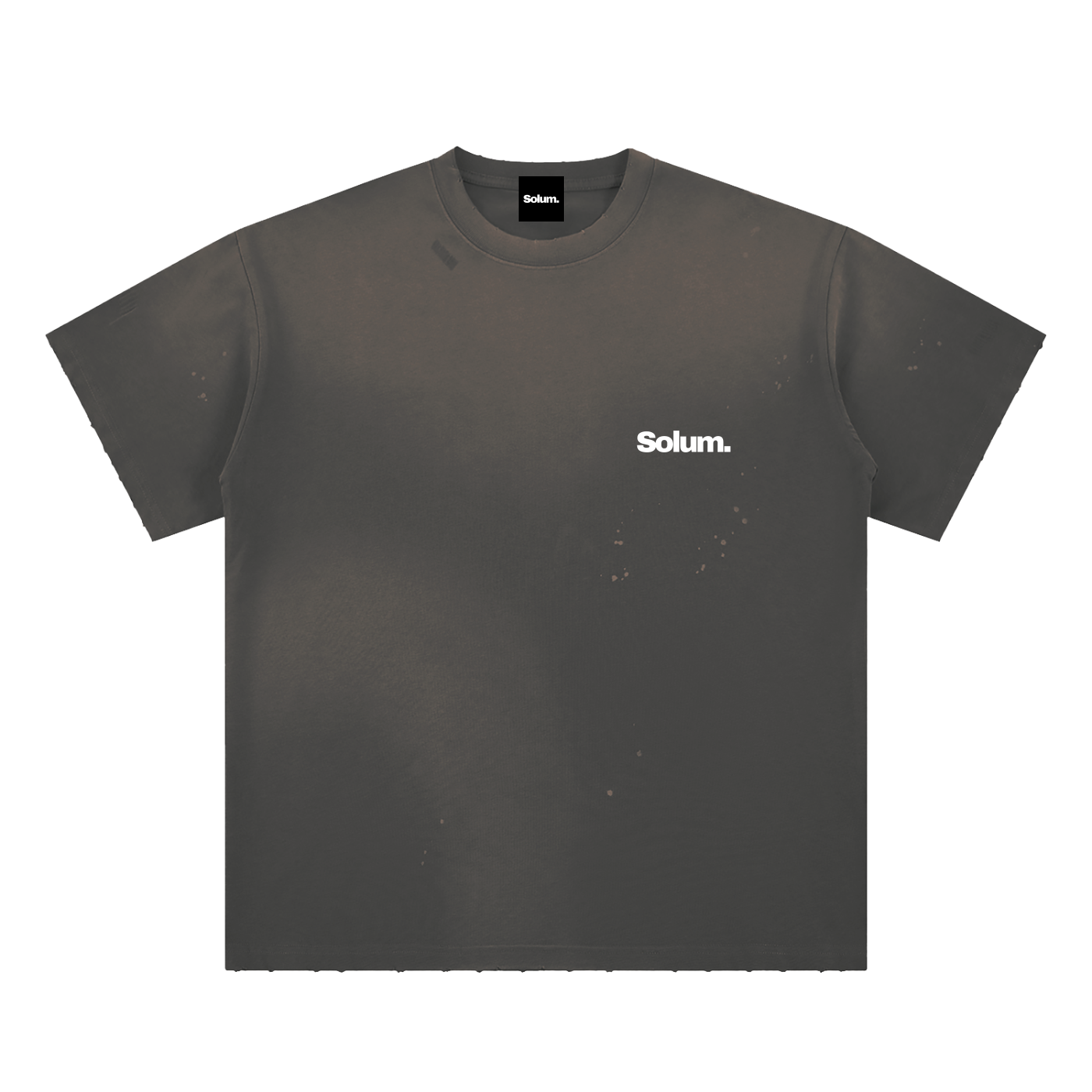 Hand-Frayed Sunfade Paint Splatter T-Shirt